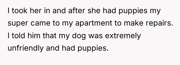I took her in and after she had puppies my...