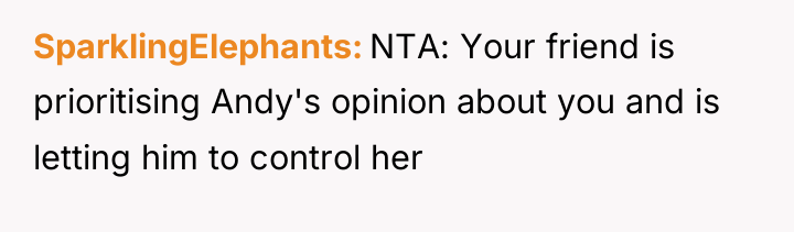 SparklingElephants NTA: Your friend is prioritising Andy's opinion about you...