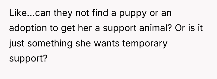 Like...can they not find a puppy or an adoption to...