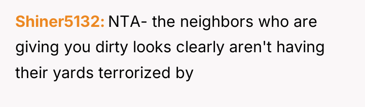 Shiner5132 NTA- the neighbors who are giving you dirty looks...