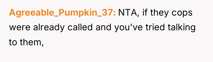 Agreeable_Pumpkin_37 NTA, if they cops were already called and you've...