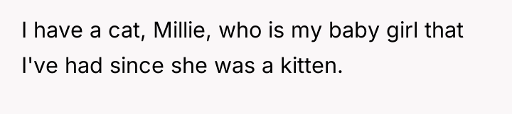 I have a cat, Millie, who is my baby girl...