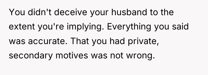 You didn't deceive your husband to the extent you're implying....