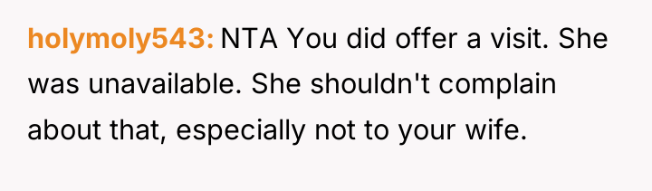 holymoly543 NTA You did offer a visit. She was unavailable....