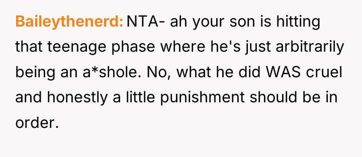 Baileythenerd NTA- ah your son is hitting that teenage phase...