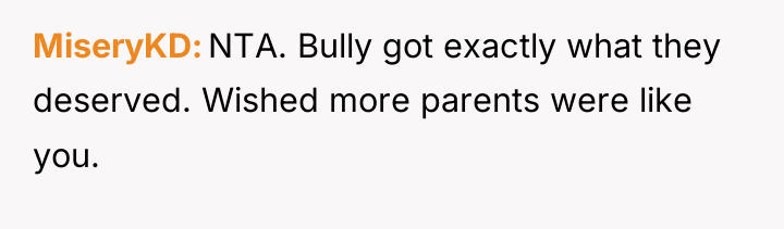 MiseryKD NTA. Bully got exactly what they deserved. Wished more...
