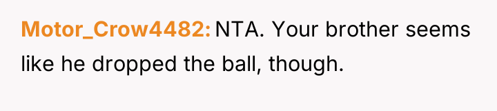 Motor_Crow4482 NTA. Your brother seems like he dropped the ball,...
