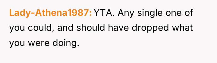 Lady-Athena1987 YTA. Any single one of you could, and should...