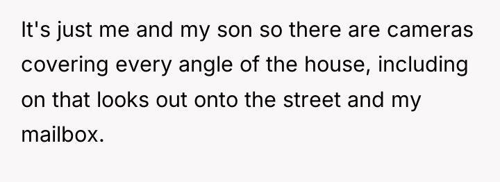 It's just me and my son so there are cameras...