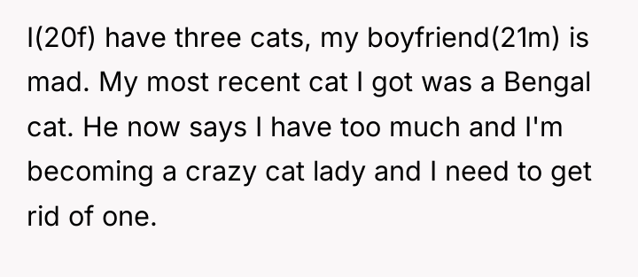 I(20f) have three cats, my boyfriend(21m) is mad. My most...