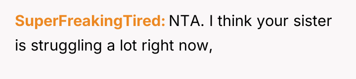 SuperFreakingTired NTA. I think your sister is struggling a lot...