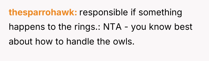 thesparrohawk responsible if something happens to the rings.: NTA -...