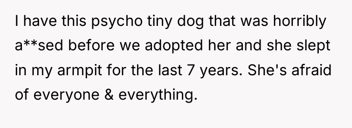 I have this psycho tiny dog that was horribly a**sed...