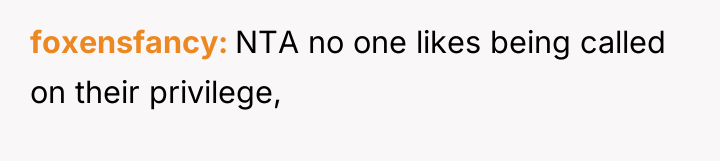 foxensfancy NTA no one likes being called on their privilege,