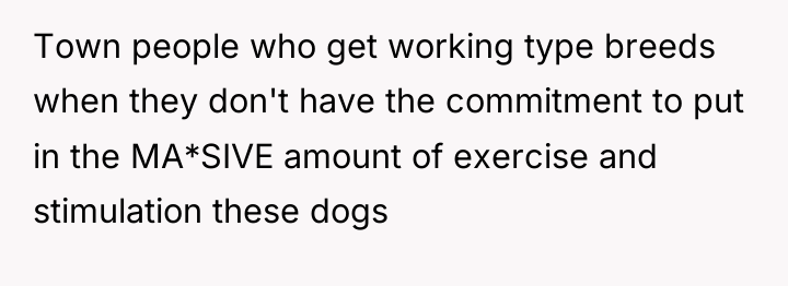 Town people who get working type breeds when they don't...