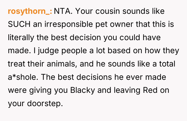 rosythorn_ NTA. Your cousin sounds like SUCH an irresponsible pet...
