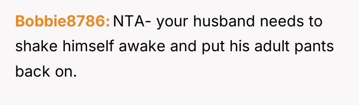Bobbie8786 NTA- your husband needs to shake himself awake and...