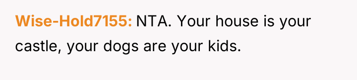 Wise-Hold7155 NTA. Your house is your castle, your dogs are...