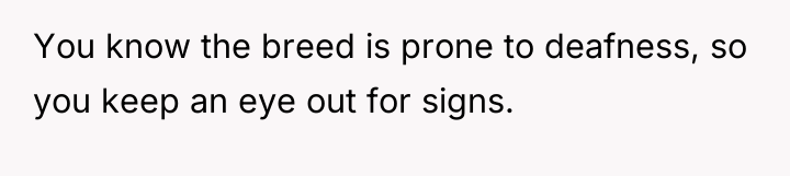 You know the breed is prone to deafness, so you...