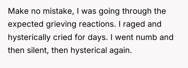 Make no mistake, I was going through the expected grieving...