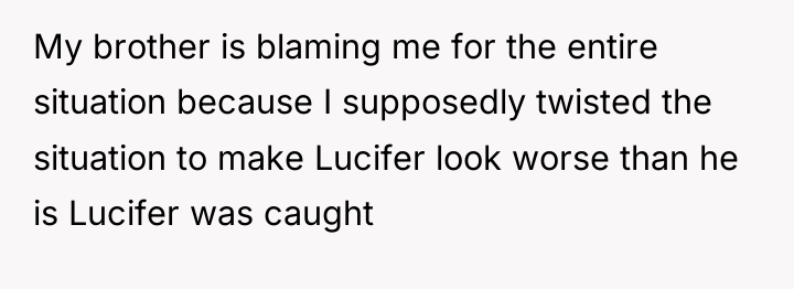 My brother is blaming me for the entire situation because...