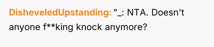DisheveledUpstanding "_: NTA. Doesn't anyone f**king knock anymore?