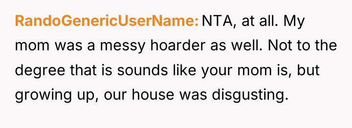 RandoGenericUserName NTA, at all. My mom was a messy hoarder...