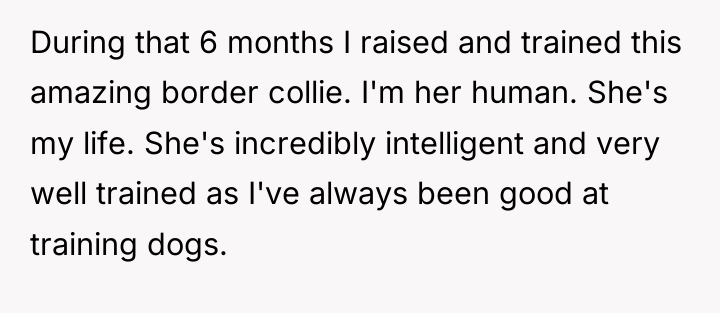 During that 6 months I raised and trained this amazing...