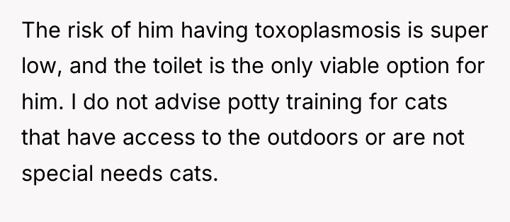 The risk of him having toxoplasmosis is super low, and...