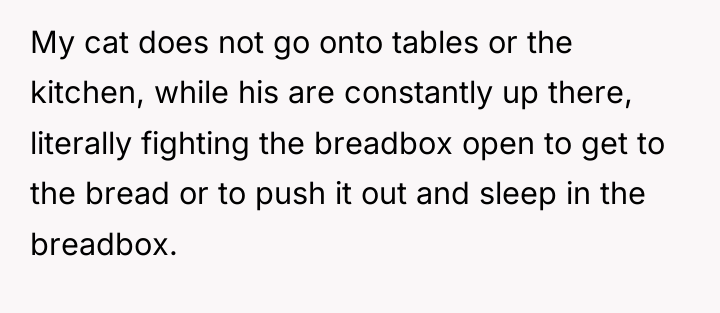 My cat does not go onto tables or the kitchen,...