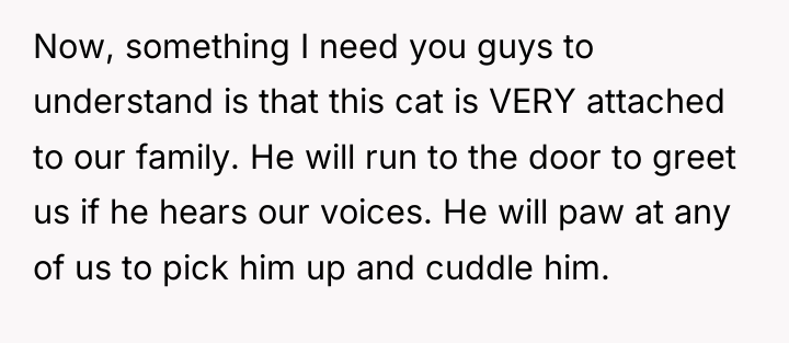 Now, something I need you guys to understand is that...