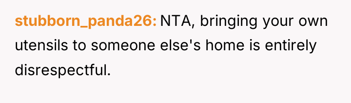 stubborn_panda26 NTA, bringing your own utensils to someone else's home...
