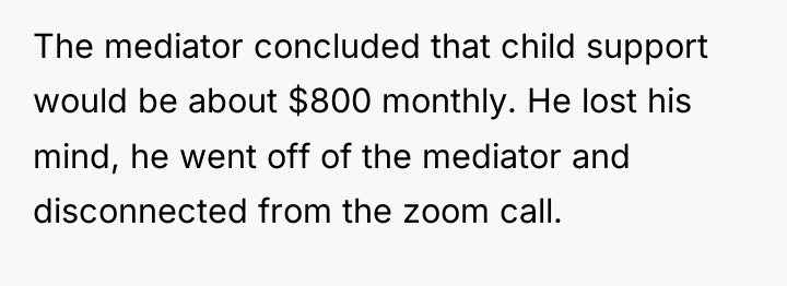 The mediator concluded that child support would be about $800...