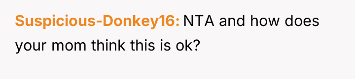 Suspicious-Donkey16 NTA and how does your mom think this is...