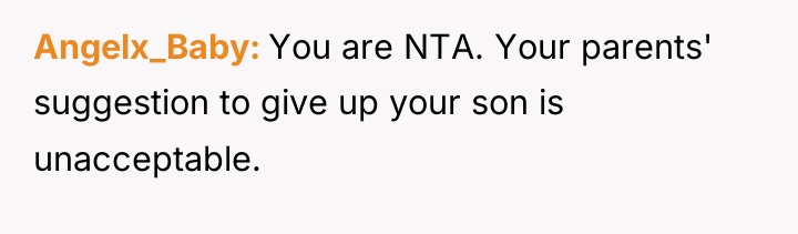 Angelx_Baby You are NTA. Your parents' suggestion to give up...