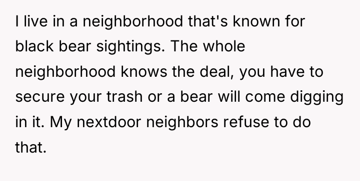 I live in a neighborhood that's known for black bear...