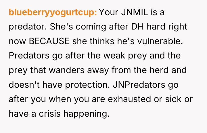 blueberryyogurtcup Your JNMIL is a predator. She's coming after DH...