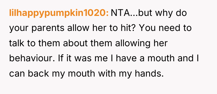 lilhappypumpkin1020 NTA...but why do your parents allow her to hit?...