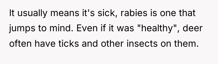 It usually means it's sick, rabies is one that jumps...
