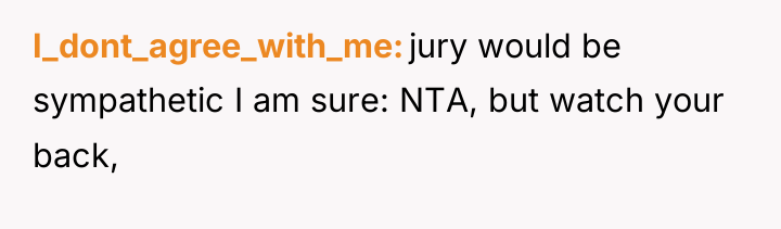 I_dont_agree_with_me jury would be sympathetic I am sure: NTA, but...