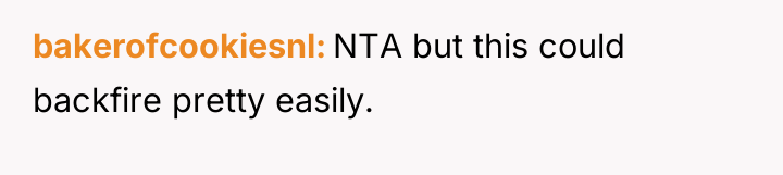 bakerofcookiesnl NTA but this could backfire pretty easily.