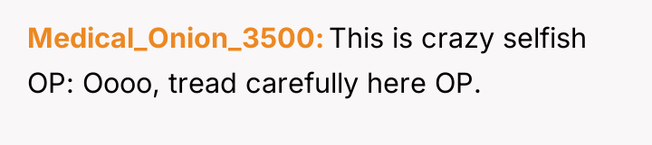 Medical_Onion_3500 This is crazy selfish OP: Oooo, tread carefully here...