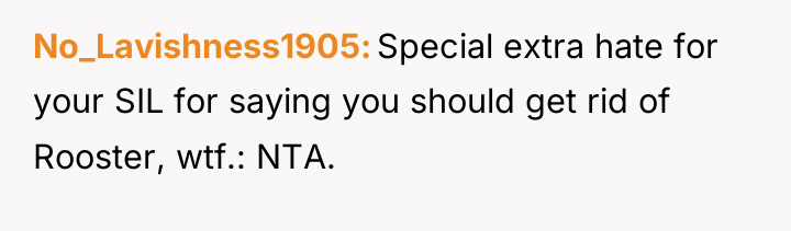 No_Lavishness1905 Special extra hate for your SIL for saying you...