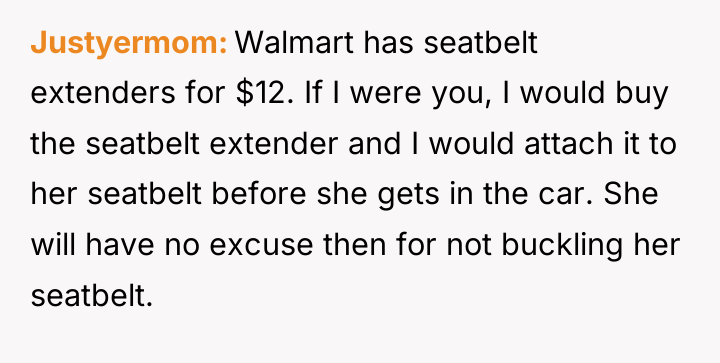 Justyermom Walmart has seatbelt extenders for $12. If I were...