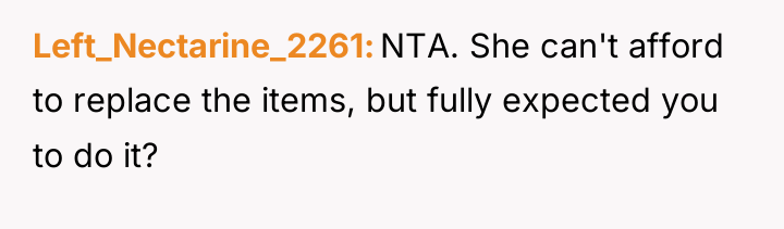 Left_Nectarine_2261 NTA. She can't afford to replace the items, but...