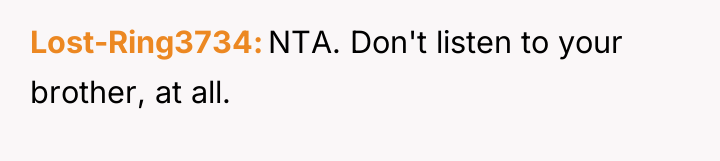 Lost-Ring3734 NTA. Don't listen to your brother, at all.