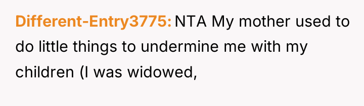 Different-Entry3775 NTA My mother used to do little things to...