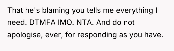 That he's blaming you tells me everything I need. DTMFA...