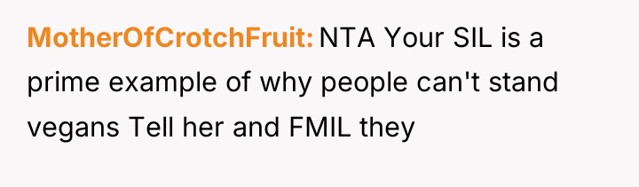 MotherOfCrotchFruit NTA Your SIL is a prime example of why...