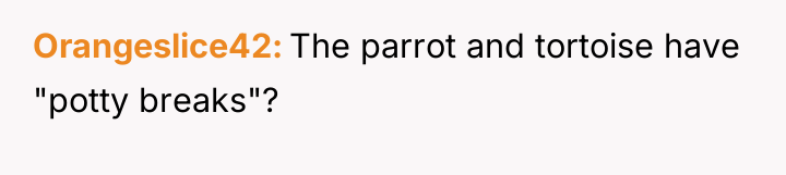 Orangeslice42 The parrot and tortoise have "potty breaks"?